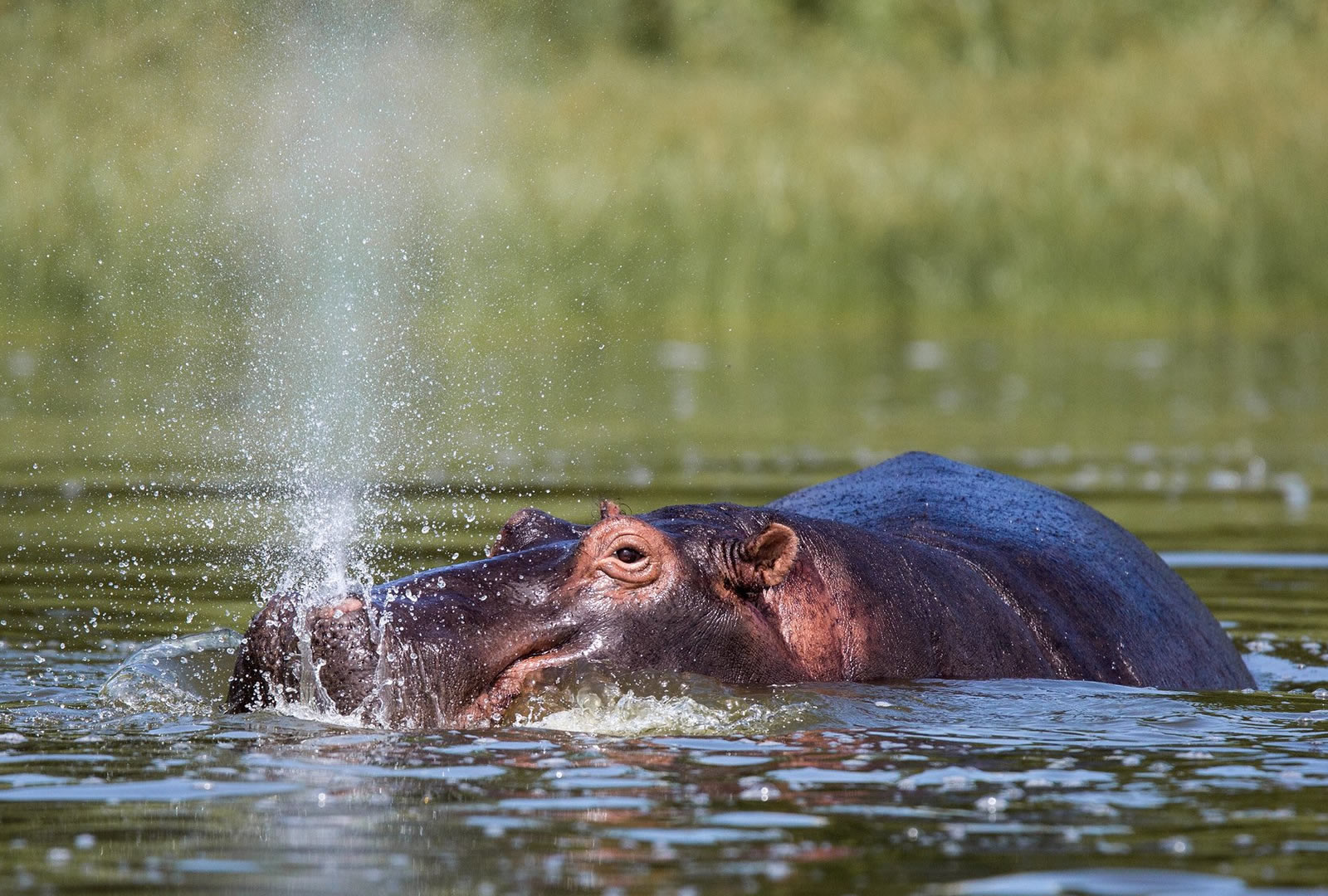 8 Days Scenic Rwanda  8 Days Scenic Rwanda