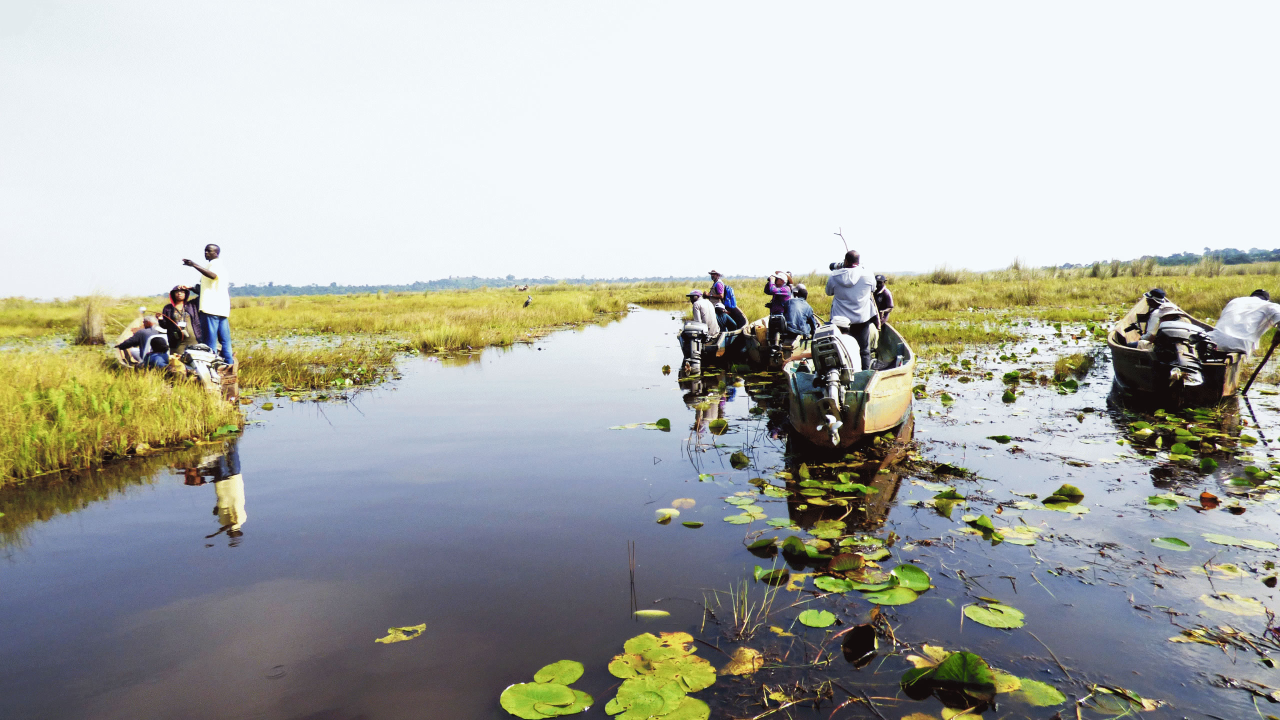 mabamba swamp