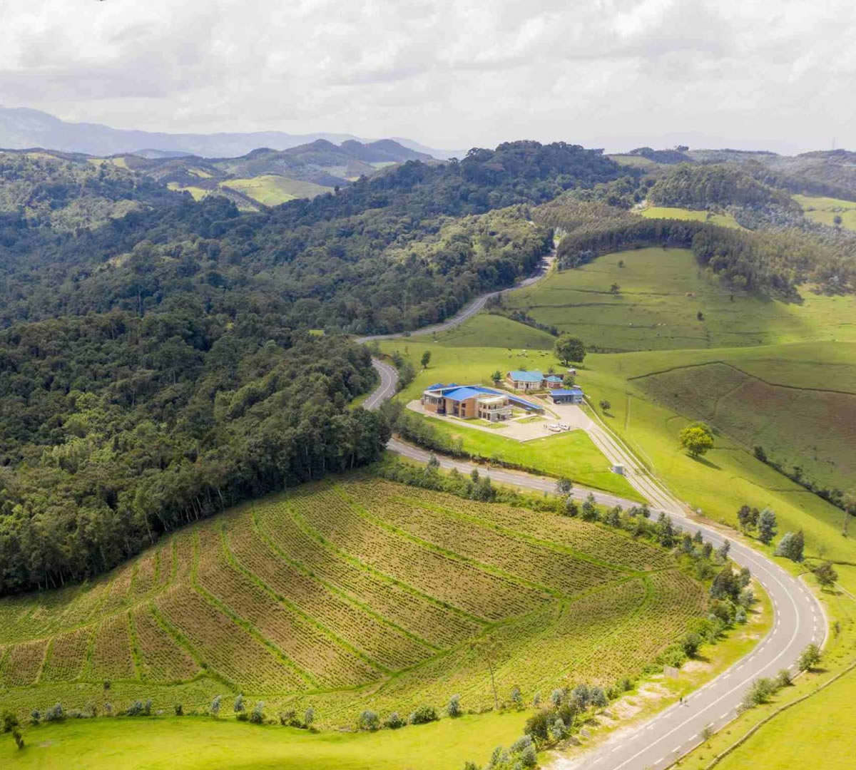 gishwati mukura national park